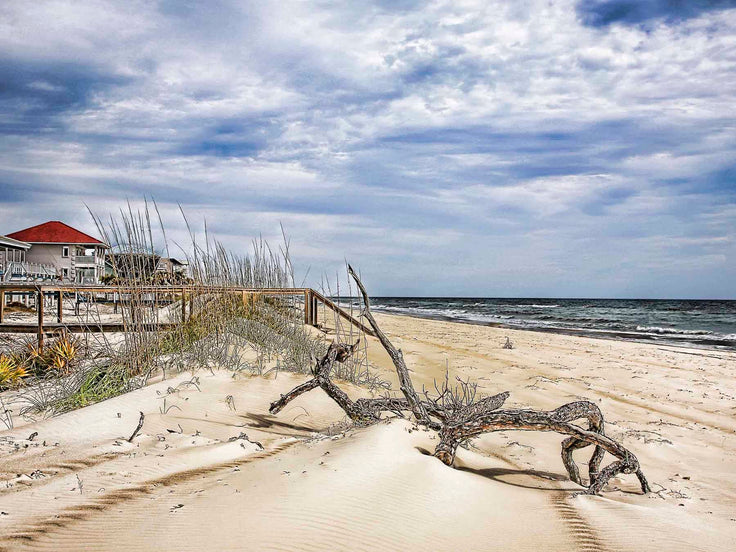 Fall at the Beach