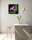 Orchid Print - Queen Victoria