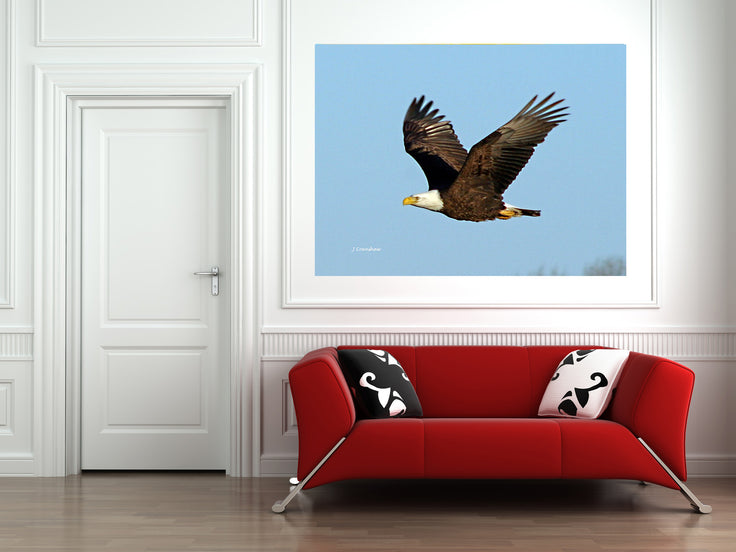 Eagle in Flight