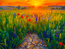 Where the Sun Meets the Wildflowers