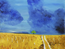 Field of Gold