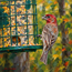 House Finch at Our Feeder