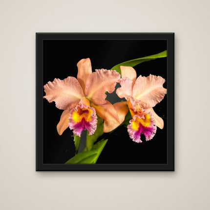 General print in a black frame