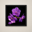 Vanda Sansai orchid art print in a black frame